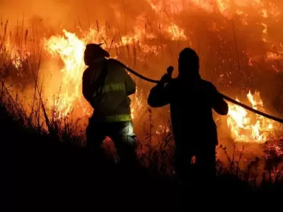 Incendios devastan el Norte argentino: Salta en alerta mxima