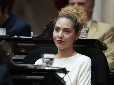 Lourdes Arrieta form parte del grupo que cometi un acto antidemocrtico. (Web)