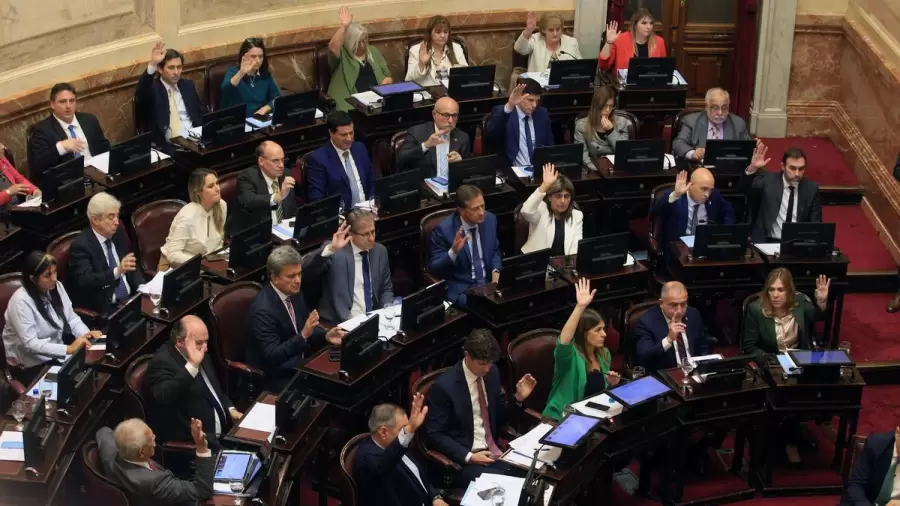 Slavinsky: "En el Congreso a Milei no le resulta fcil sacar leyes". (Foto: Web)