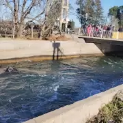 Un auto se precipit a un canal y se llev la vida de una mujer en San Rafael