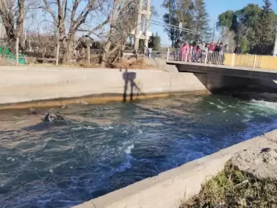 Un auto se precipit a un canal y se llev la vida de una mujer en San Rafael