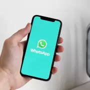 Nunca debés enviar estos datos por WhatsApp si querés evitar hackeos