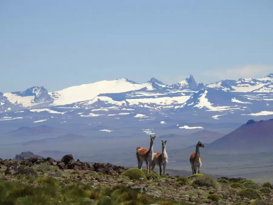 Parque Nacional Patagonia