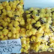 Patitos amarillos: el fenmeno viral que cay en desgracia