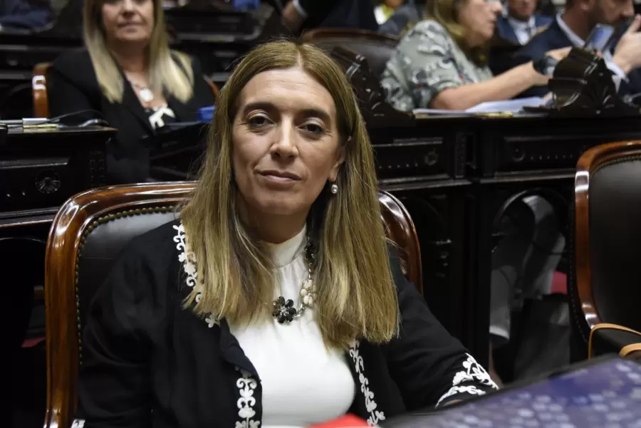 Diputada nacional Danya Taves