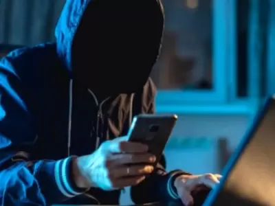 Ciber estafa.