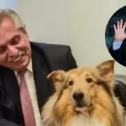 Ser en serio? Javier Milei busca quedarse con el perro de Alberto Fernndez