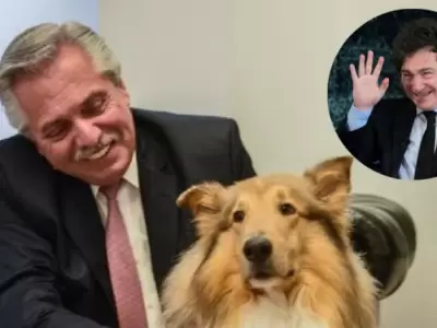 Ser en serio? Javier Milei busca quedarse con el perro de Alberto Fernndez