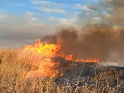 Los incendios se hacen presentes en Crdoba.