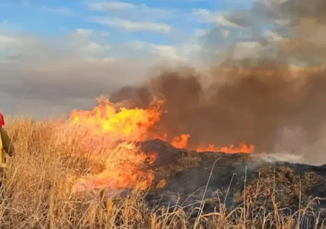 Los incendios se hacen presentes en Crdoba.