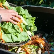 Se pueden fabricar nuevos productos con residuos alimentarios?