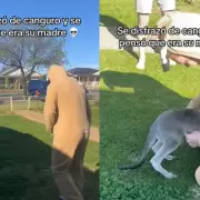 Viral: hombre se viste de mam canguro y causa confusin