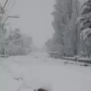 La nieve complica el tránsito en Mendoza