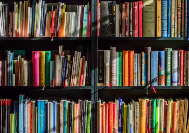 Un libro cuesta en promedio $25.000 y para comprarlo se suelen aprovechar las promociones bancarias.