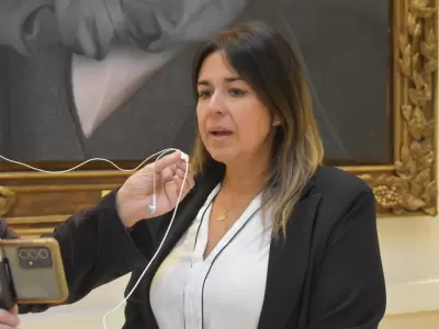 La diputada Silvina Gmez, autora del proyecto