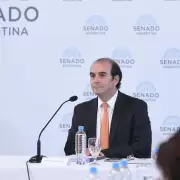 Qu dijo Manuel Garca Mansilla ante la Comisin de Acuerdos del Senado?