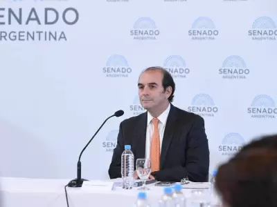 El catedrtico defiende su postulacin ante los senadores. (Fuente: web)