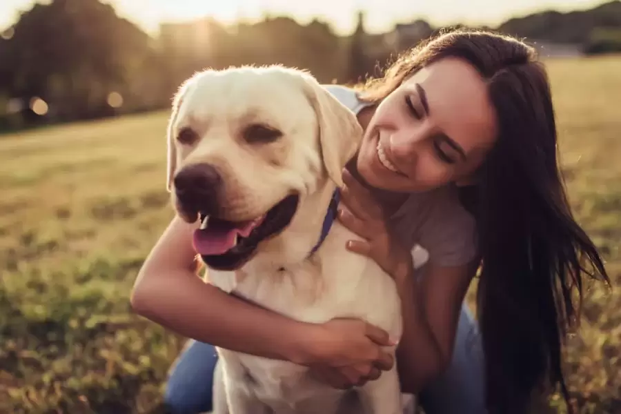 amor-por-las-mascotas