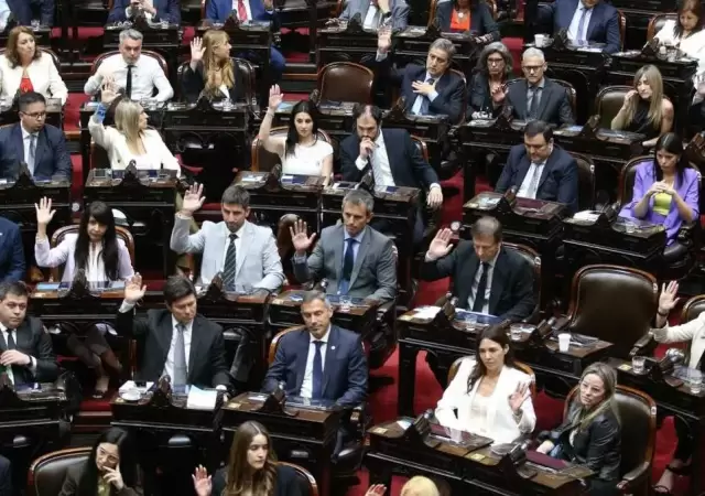 Sesin en Diputados.