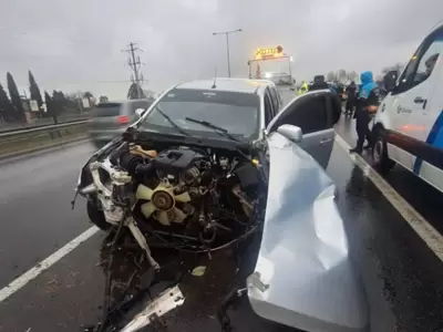 Un coche transportaba una tonelada de hojas de coca