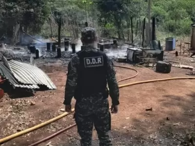 Misiones: el fuego implacable se cobr la vida de dos hermanitos de 1 y 3 aos