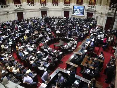 Los diputadaos debern expedirse