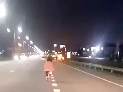 Una nia fue escoltada por automovilistas cuando pedaleada sola por la Panamericana