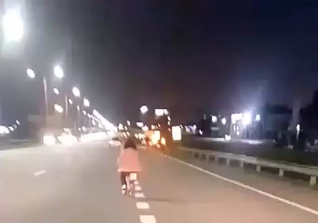 Una nia fue escoltada por automovilistas cuando pedaleada sola por la Panamericana