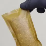 Citricplas: jóvenes argentinos fabrican bolsas a partir de cáscaras de cítricos