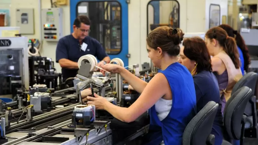Las pymes sostienen el empleo