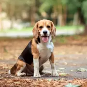 Segn un estudio estas razas de perros son ideales para convivir con nios