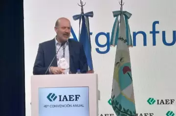 Federico Sturzenegger disertando en la IAEF.