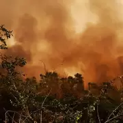 Bolivia en llamas: alerta sanitaria y cielos cerrados por devastadores incendios