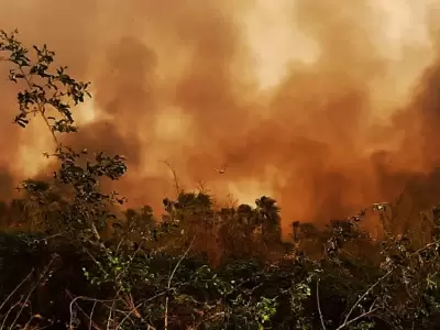 Bolivia en llamas: alerta sanitaria y cielos cerrados por devastadores incendios