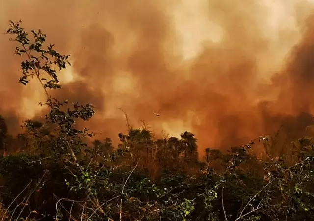 Bolivia en llamas: alerta sanitaria y cielos cerrados por devastadores incendios