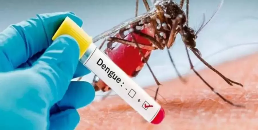 dengue