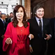 "Cada vez que aparece Cristina, vuelve a crecer la imagen de Milei"