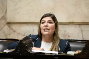 Diputada nacional del PRO, Vernica Razzini. (Imagen: web)