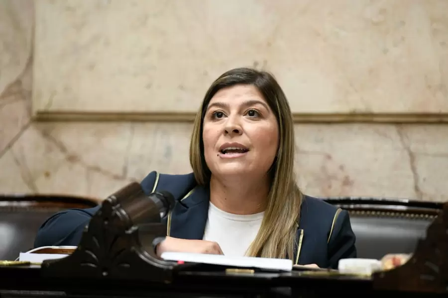Diputada nacional del PRO, Ver�nica Razzini.