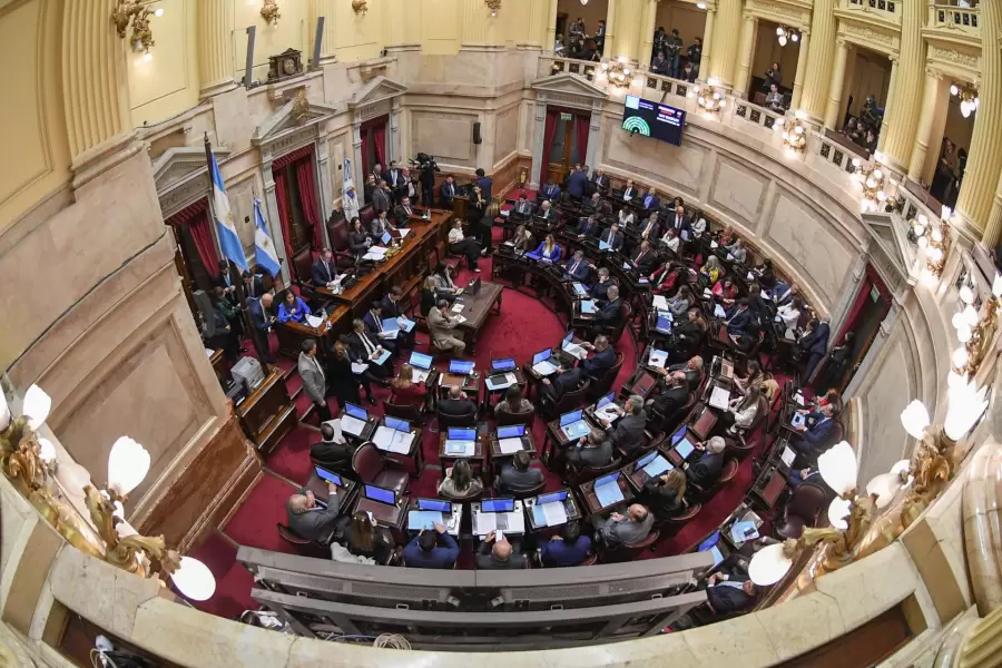 senado