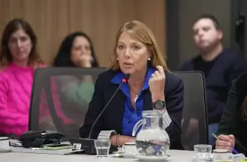 Alejandra Torres, diputada Nacional por Crdoba.