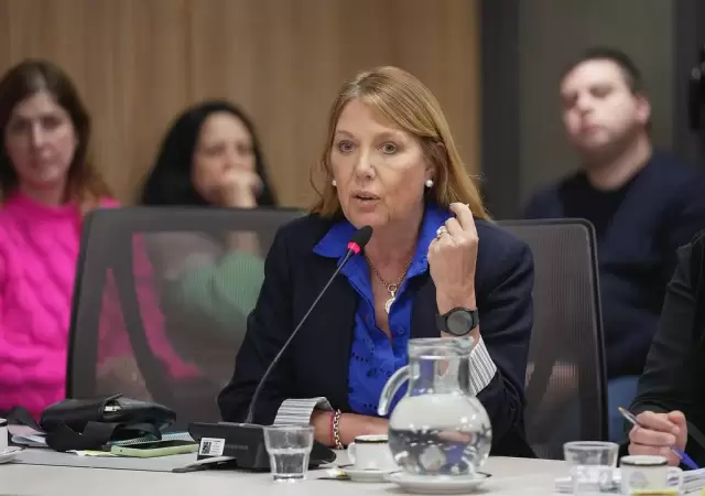 Alejandra Torres, diputada Nacional por Crdoba.