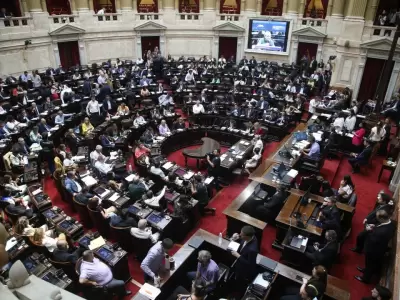 Cmara de Diputados