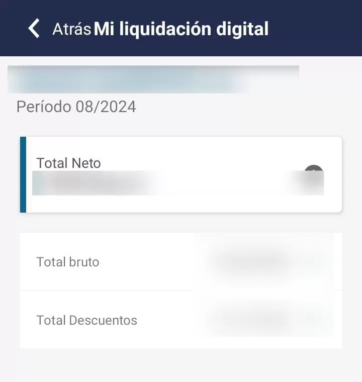 Liquidacin de sueldo en Mi Afip