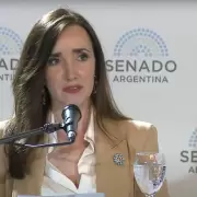 Villarruel removi� a 38 empleados del Senado puestos por Cristina