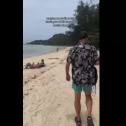 Ladyboys: el término que revolucionó X tras el video de un joven argentino