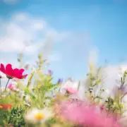 La primavera es un fenmeno que no ocurre el 21 de septiembre