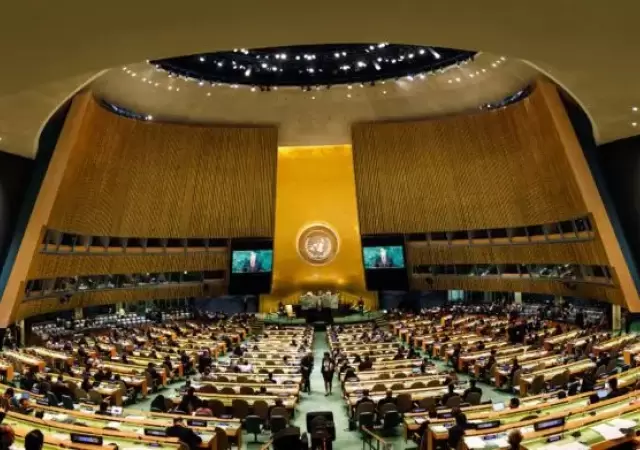 Asamblea General de las Naciones Unidas (ONU).