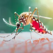 Mosquitos estériles: el plan de Mendoza para controlar el dengue