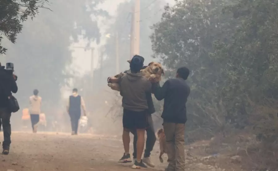 Vecinos colaboran con los Bomberos Voluntarios para sofocar las llamas y reducir la prdida de vidas